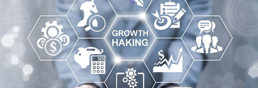 Growth hacking